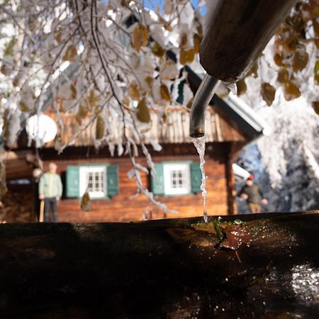 Gregor'S Ferienhaus Im Wald Villa Edelschrott Eksteriør billede