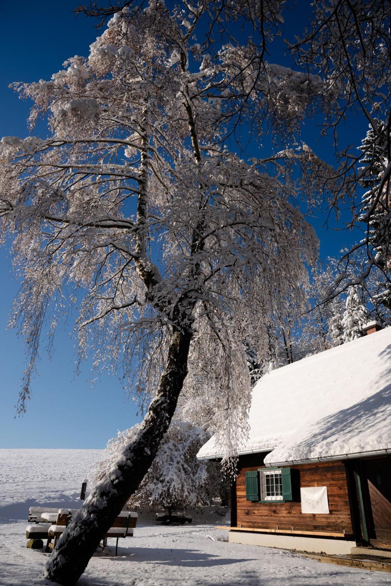 Gregor'S Ferienhaus Im Wald Edelschrott Eksteriør billede